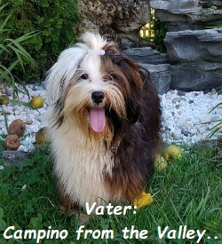 Vater:
Campino from the Valley..